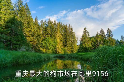 重庆最大的狗市场在哪里9156