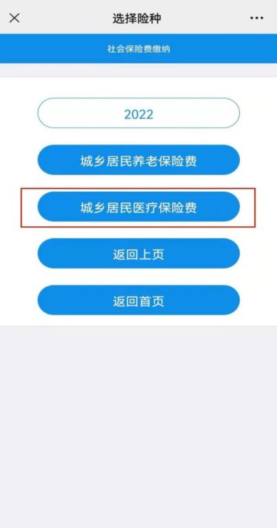 一、成都宠物空运全流程解析