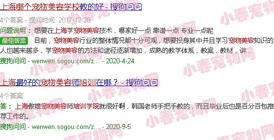 上海宠物美容培训哪个学校好