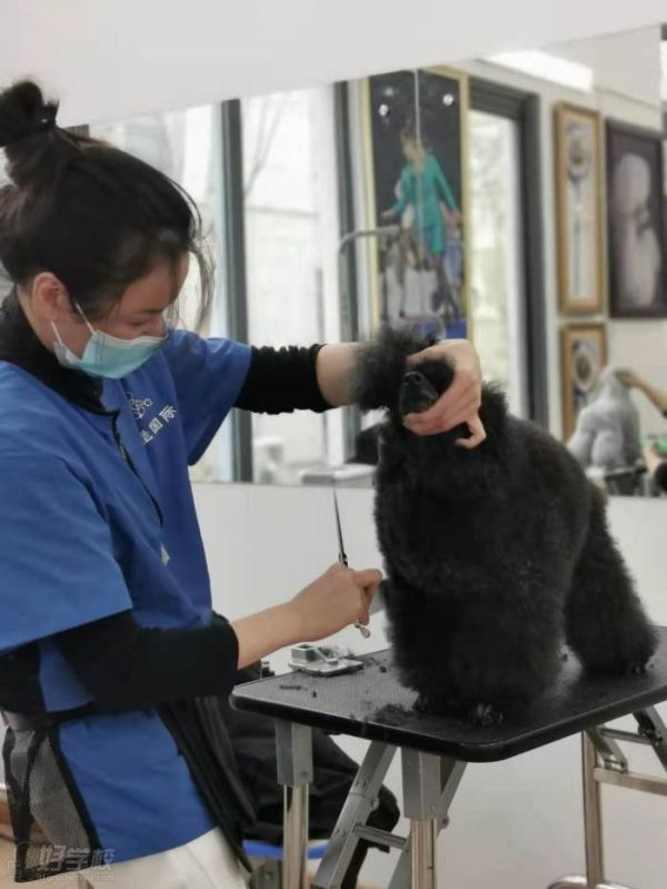 上课现场