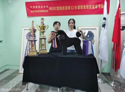 学员获奖