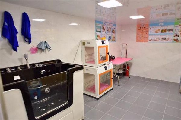 袖虎宠物店加盟
