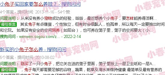刚买的宠物兔如何饲养