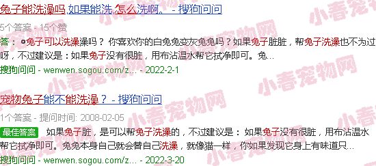 宠物兔怎么养 能洗澡吗