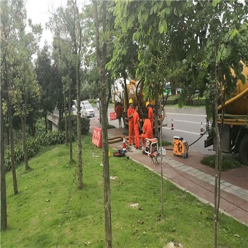 ***新村清洗仓鼠快递雨水管道定期维护