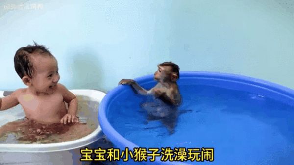萌宠与萌娃的动人瞬间，一幅幅温馨的动图