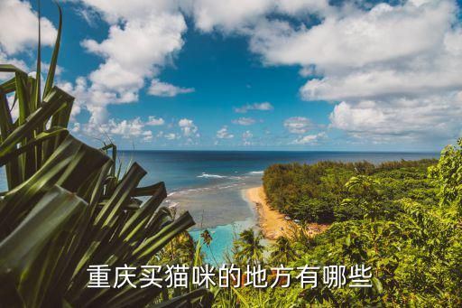 重庆买猫咪的地方有哪些