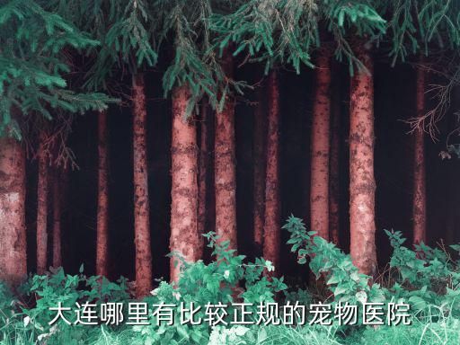 大连哪里有比较正规的宠物医院