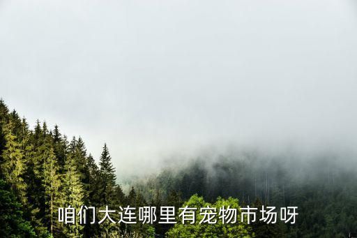 咱们大连哪里有宠物市场呀