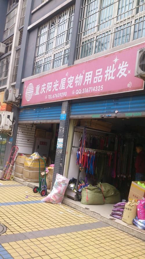重庆的宠物批发市场在哪里（重庆的宠物批发市场在哪里啊）