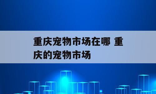 重庆宠物市场在哪 重庆的宠物市场