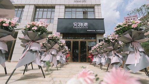 我想在重庆开宠物店,请问在那里进货?