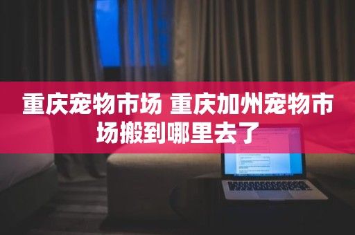 重庆宠物市场 重庆加州宠物市场搬到哪里去了
