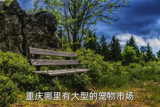 重庆哪里有大型的宠物市场