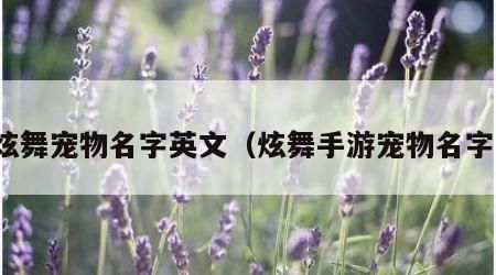 炫舞宠物名字英文（炫舞手游宠物名字）