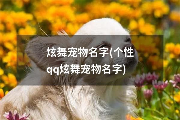 炫舞宠物名字(个性qq炫舞宠物名字)