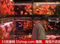 上海西宫花卉水族艺术苑图片