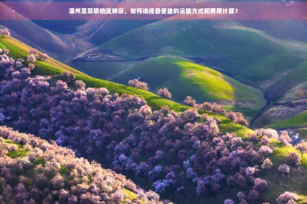 温州至昆明物流转运，如何选择最便捷的运输方式和费用计算？