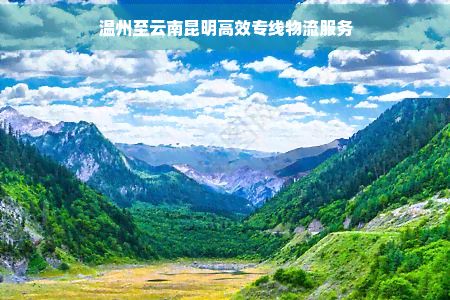 温州至云南昆明高效专线物流服务