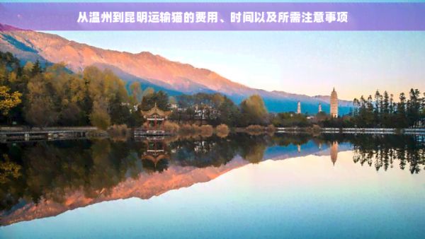 从温州到昆明运输猫的费用、时间以及所需注意事项
