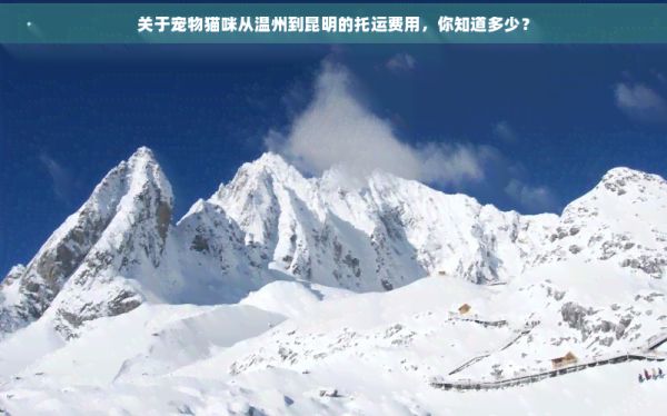 关于宠物猫咪从温州到昆明的托运费用，你知道多少？