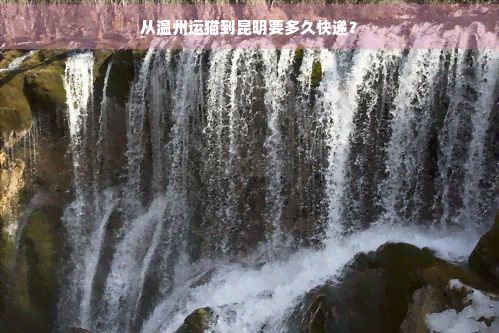 从温州运猫到昆明要多久快递？