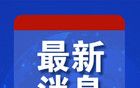 “这是法国的投降书”