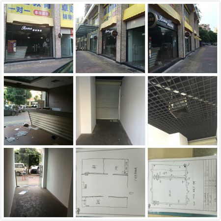 圣宠广州可逸倾城宠物店选址服务