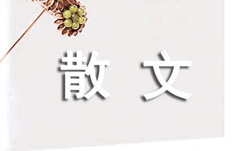 宠物情结散文