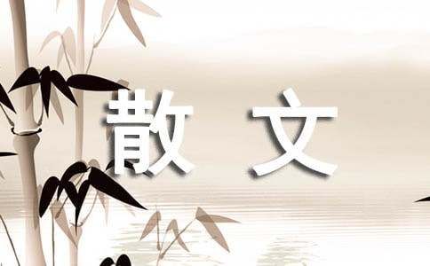 话说养宠物散文