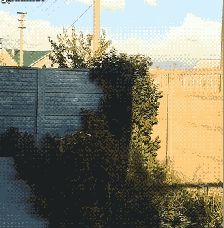 怂二哈洗澡嫌水冷，竟然说人话“哎呀，我的妈呀”…