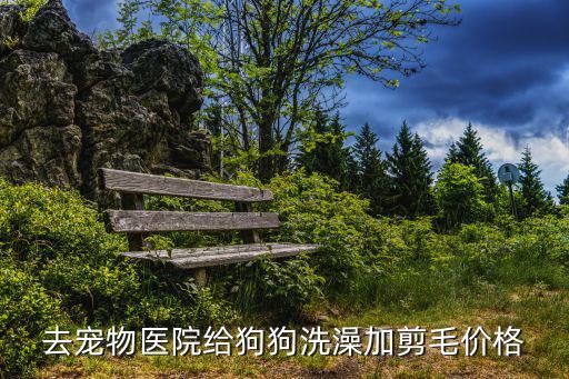 去宠物医院给狗狗洗澡加剪毛价格