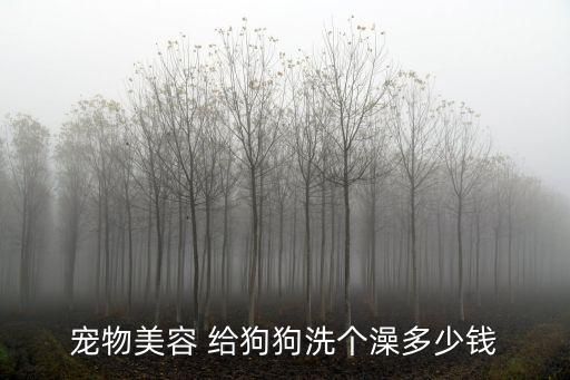 宠物美容 给狗狗洗个澡多少钱