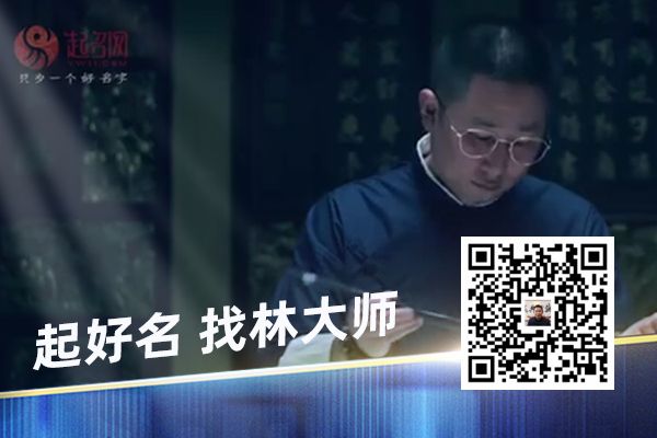 猫猫名字大全洋气的英文