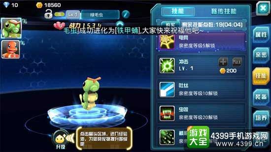 宠物培养