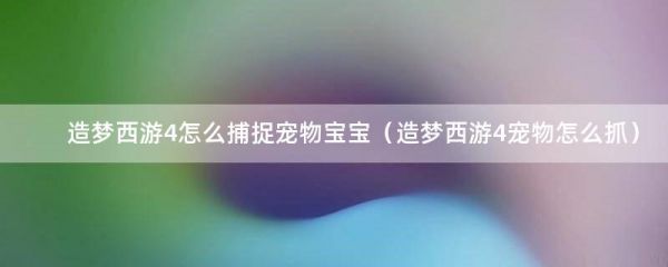 造梦西游4怎么捕捉宠物宝宝（造梦西游4宠物怎么抓）