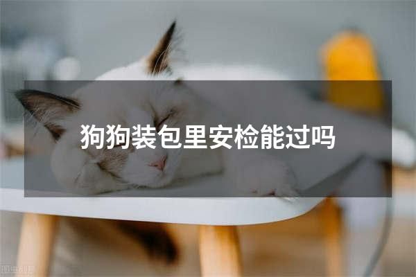 狗狗装包里安检能过吗