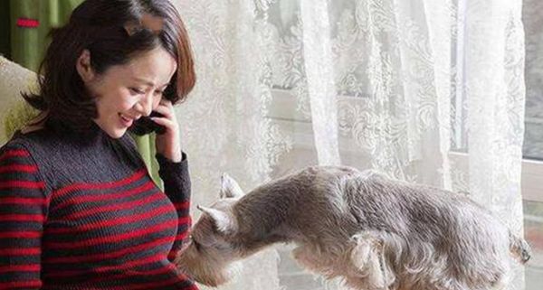 宠物狗对孕妇的影响（狗狗的陪伴对孕妇身心的好处）