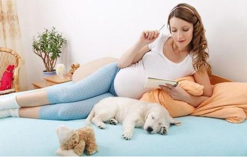 狗狗会对孕妇有影响吗？