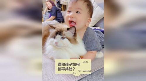 孕妇与宠物猫：和谐共处之道