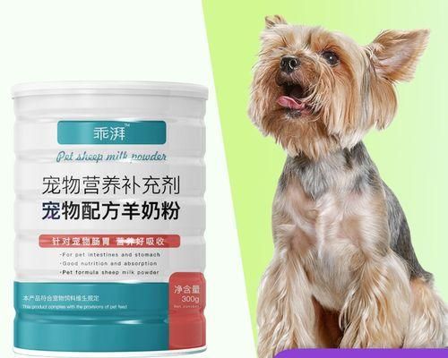 怀孕期间可以养狗狗吗（安全性）