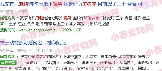 宠物的名字沙雕搞怪