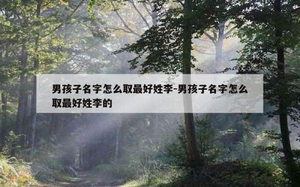 男孩子名字怎么取最好姓李-男孩子名字怎么取最好姓李的