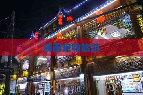 海南宠物旅游