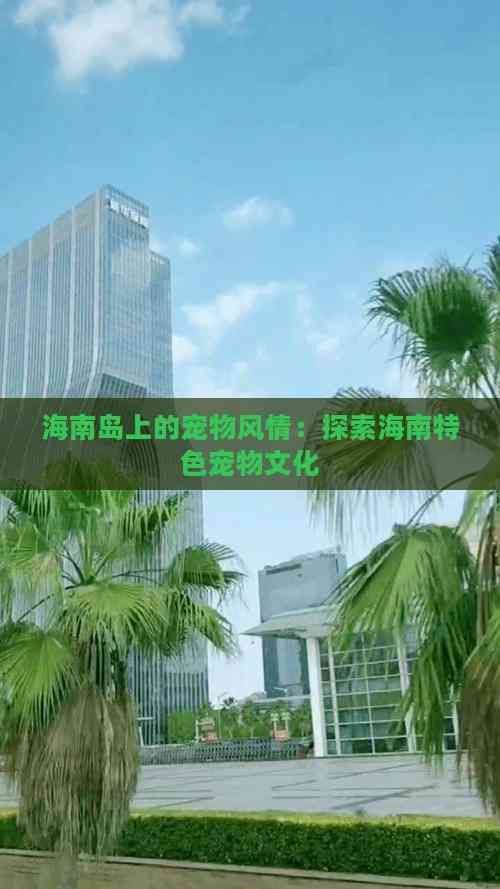 海南岛上的宠物风情：探索海南特色宠物文化