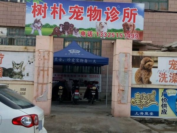 树朴宠物诊所