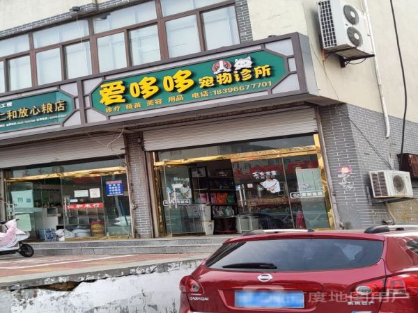 爱哆哆宠物诊所(钟楼南路店)