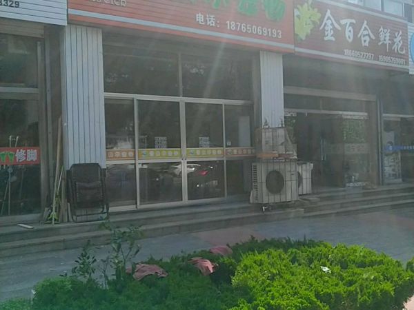 爱贝尔宠物
