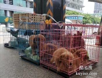 西安本地宠物托运 托运狗狗猫咪 实体门店 代办检疫证明