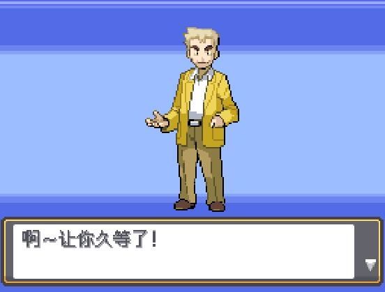 口袋妖怪银灵4